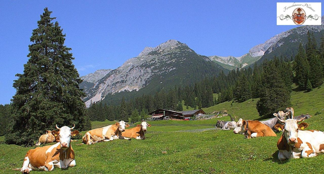 Ferienhaus Erika Seefeld in Tirol Eksteriør bilde
